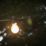 Photo Storytelling bird lighting