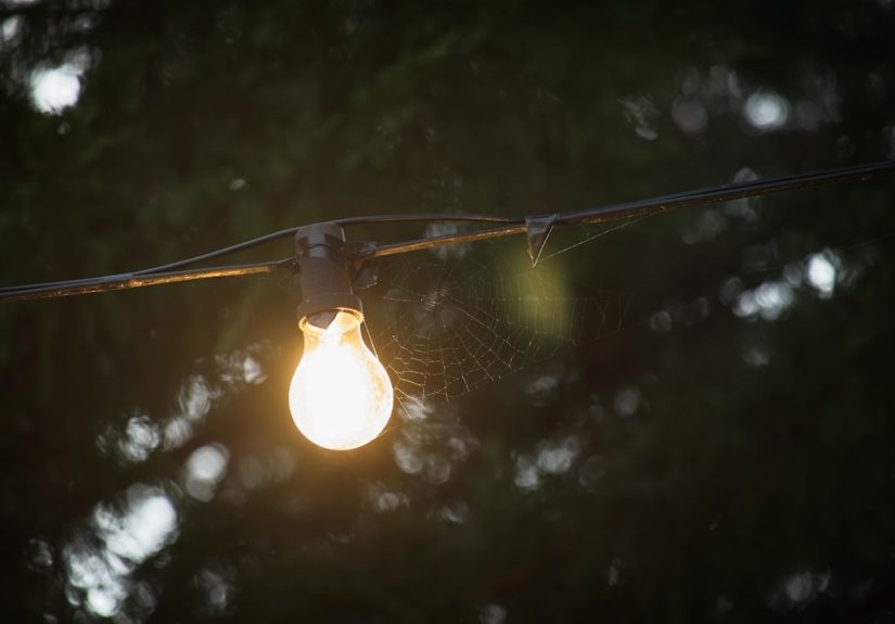 Photo Storytelling bird lighting